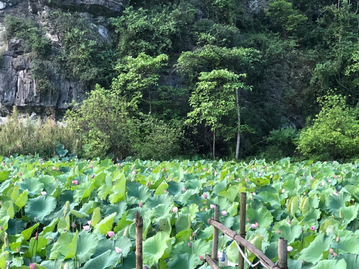 Trang An River View Homestay Ninh Bình Exteriör bild